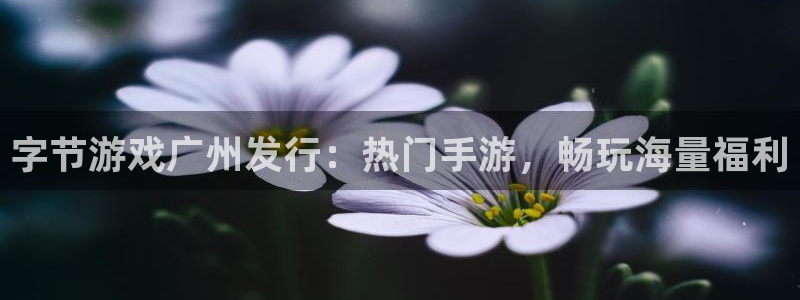天辰平台会员有什么用啊：字节游戏广州发行：热门手游，畅玩海量福利