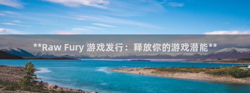 天辰平台想 58534I 平台：**Raw Fury 游戏发行：释放你的游戏潜能**