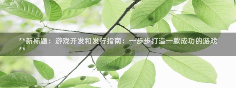 天辰正规注册通道安全：**新标题：游戏开发和发行指南：一步步打造一款成功的游戏
**