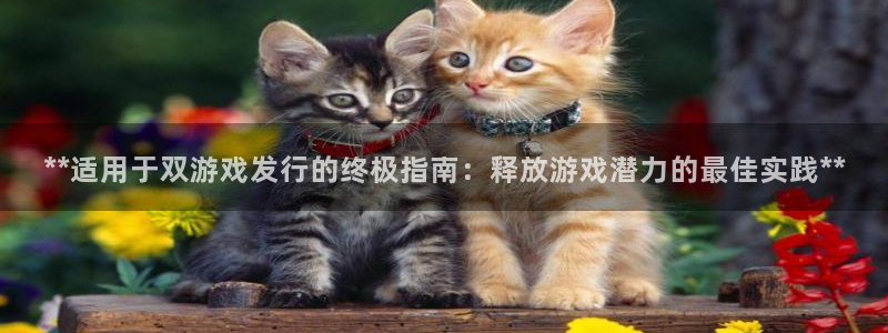 天辰平台毡3300：**适用于双游戏发行的终极指南：释放游戏潜力的最佳实践**