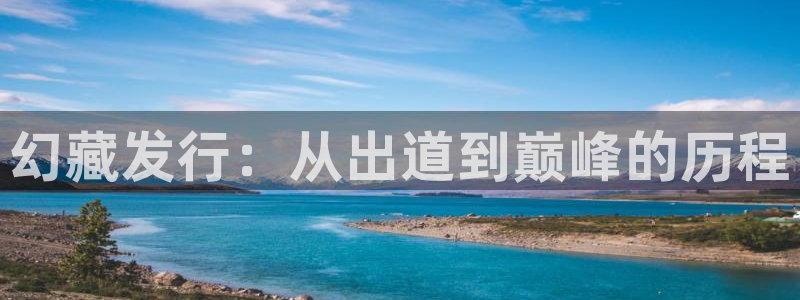 天辰平台系 411O31 天辰：幻藏发行：从出道到巅峰的历程