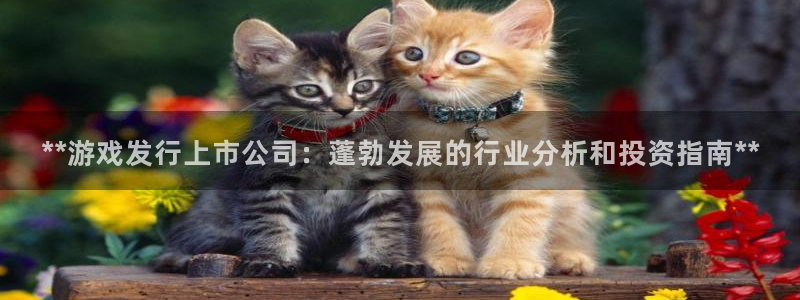 天辰平台游戏退款：**游戏发行上市公司：蓬勃发展的行业分析和投资指南**