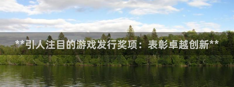 天辰平台入 585341 天辰：**引人注目的游戏发行奖项：表彰卓越创新**