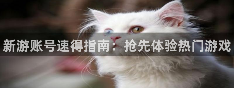 天辰测速希希游戏：新游账号速得指南：抢先体验热门游戏
