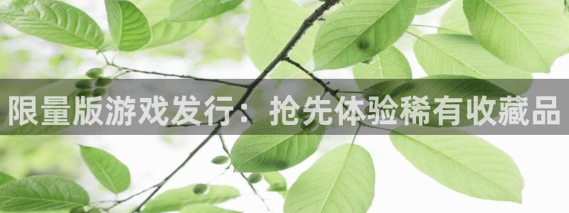 天辰平台用户登录不上怎么回事：限量版游戏发行：抢先体验稀有收藏品