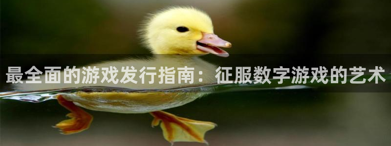 天辰平台招商1111是什么：最全面的游戏发行指南：征服数字游戏的艺术