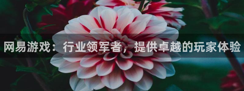 天辰平台注册登录地址：网易游戏：行业领军者，提供卓越的玩家体验