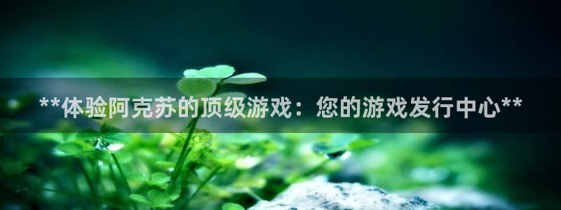 天辰测绘有限公司怎么样
