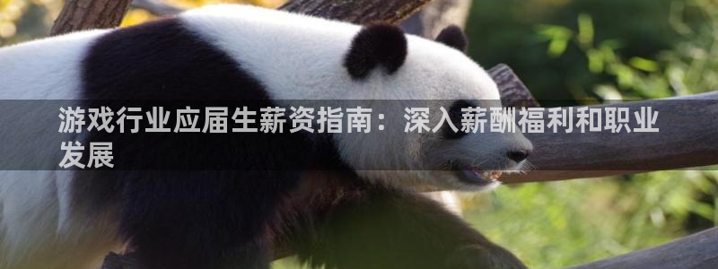 天辰平台陪 37oo735：游戏行业应届生薪资指南：深入薪酬福利和职业
发展