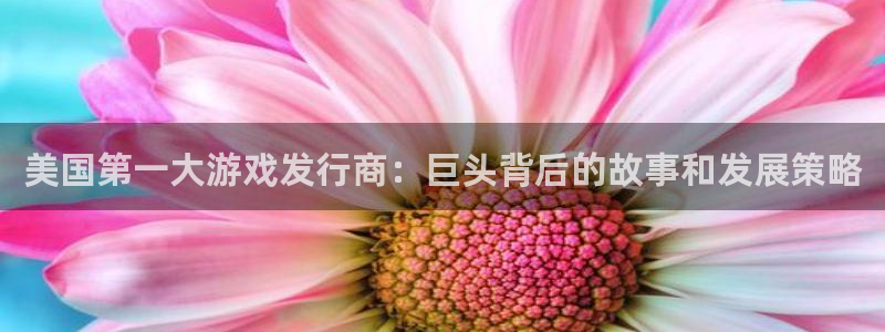 天辰平台测速：美国第一大游戏发行商：巨头背后的故事和发展策略