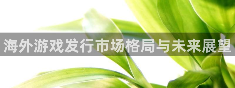 天辰平台建 411o31 天辰：海外游戏发行市场格局与未来展望