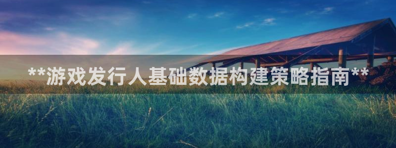 天辰网会员多少钱：**游戏发行人基础数据构建策略指南**