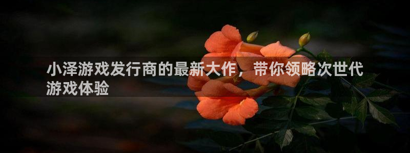 天辰平台t~专用通道安全稳定：小泽游戏发行商的最新大作，带你领略次世代
游戏体验