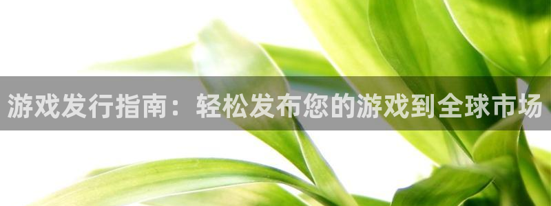 天辰平台孩7O777：游戏发行指南：轻松发布您的游戏到全球市场