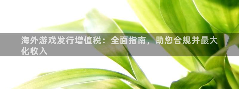 天辰娱乐官网最新公告消息：海外游戏发行增值税：全面指南，助您合规并最大
化收入