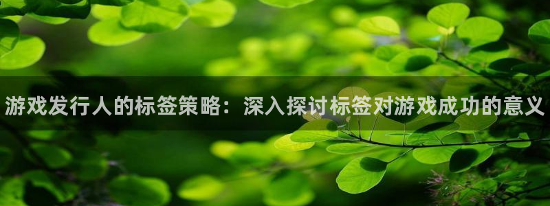 天辰平台用户登录不了怎么办：游戏发行人的标签策略：深入探讨标签对游戏成功的意义