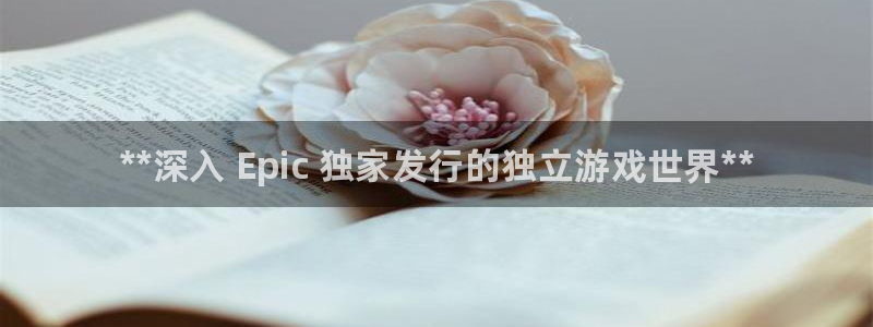 天辰平台招商1111怎么样：**深入 Epic 独家发行的独立游戏世界**