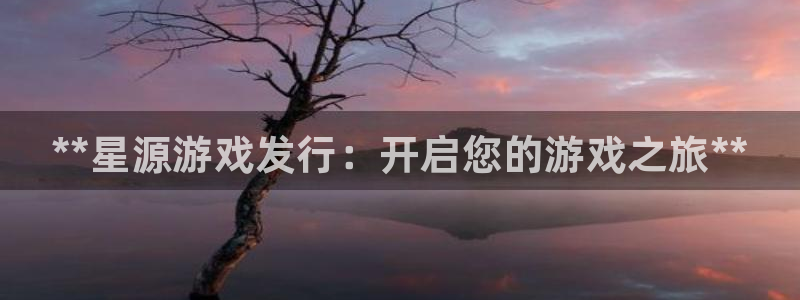 天辰平台诙3300：**星源游戏发行：开启您的游戏之旅**