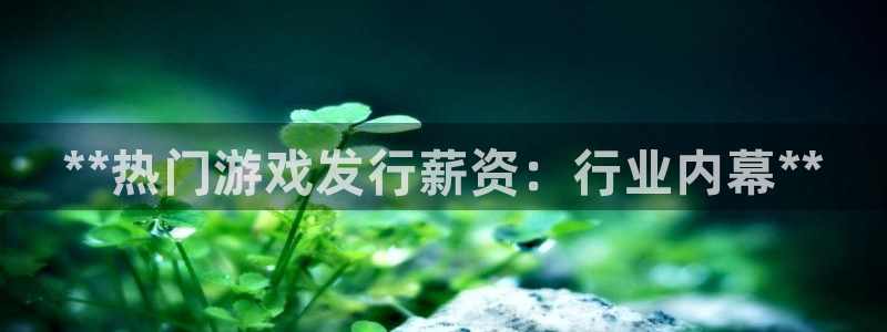 天辰平台测速登录失败：**热门游戏发行薪资：行业内幕**