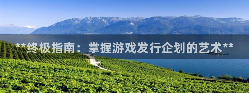 天辰会员注册链接怎么弄：**终极指南：掌握游戏发行企划的艺术**