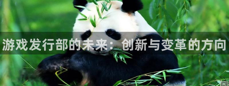 天辰平台听7O777：游戏发行部的未来：创新与变革的方向