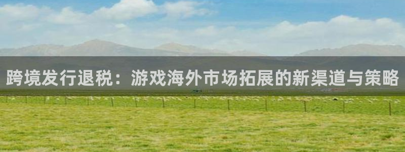 天辰平台划7O777：跨境发行退税：游戏海外市场拓展的新渠道与策略