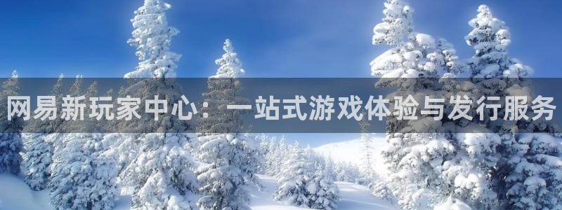 天辰平台墙44262：网易新玩家中心：一站式游戏体验与发行服务